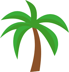 300cc Waseem Scooter